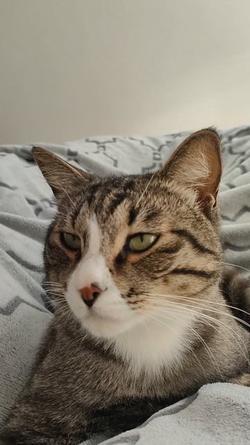 итого недели