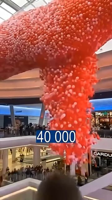 УБОРЩИК И 40 ТЫСЯЧ ВОЗДУШНЫХ ШАРИКОВ