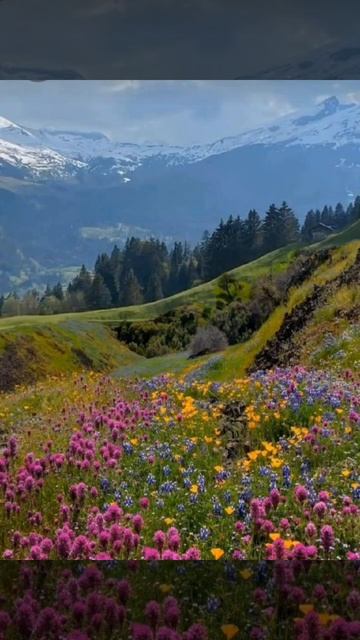 Обращенье к Земле