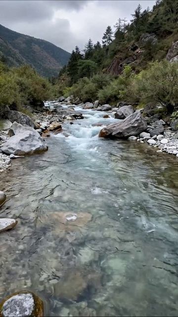 Красота горной реки #природа #пейзажи #релаксация