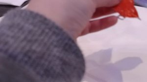 как сделать гугу гага из киндера "Фиксика"