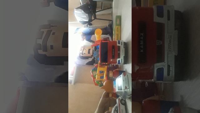 я запузкаю розоцветных котоф