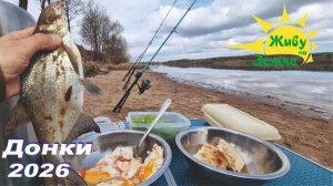 Рыбалка на донки 2026. Подробно об оснастке. Рыба уже клюёт!