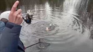 Запуск и первые поимки форели. Спорт-зона. Клёвое место Лосиный остров.