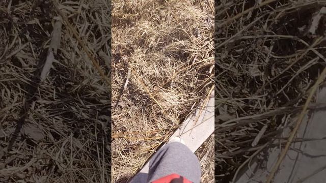 хз какая часть