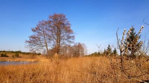 07▪️Весной на речке ▪️Футажи ▪️Красивая природа