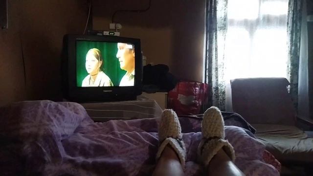 Кто будет дрова пилить??? 😤🤪🤨Кот 🐱🐱🐱☺☺☺