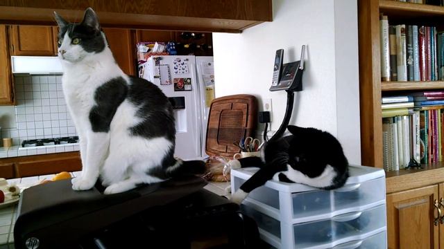 VID 20160524 145709649