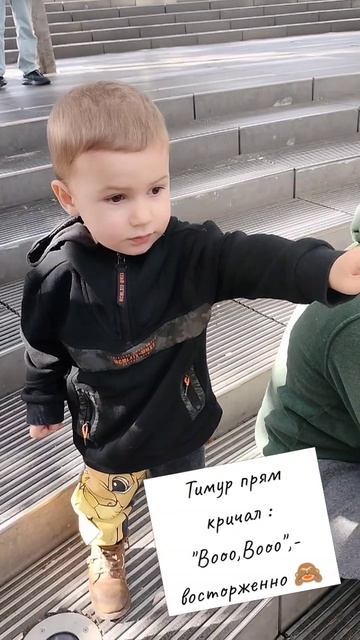 золотые рыбки