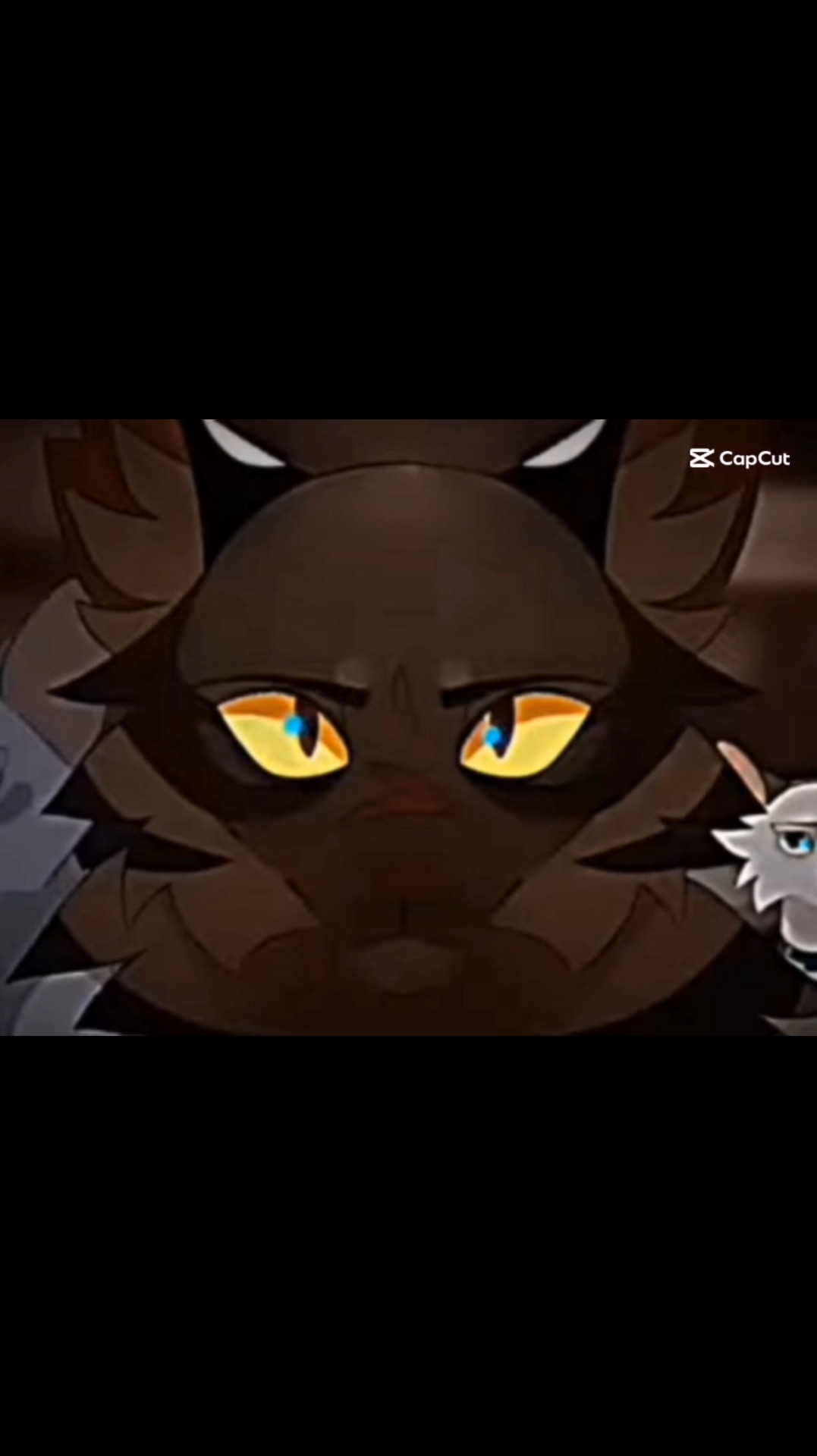 Звзедоцап и Бич ❤️