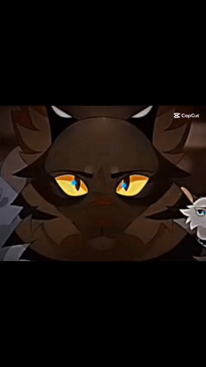 Звзедоцап и Бич ❤️