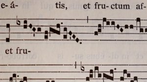 VID_20260418_002520_357