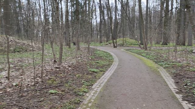 Курганы вятичей в Царицыно