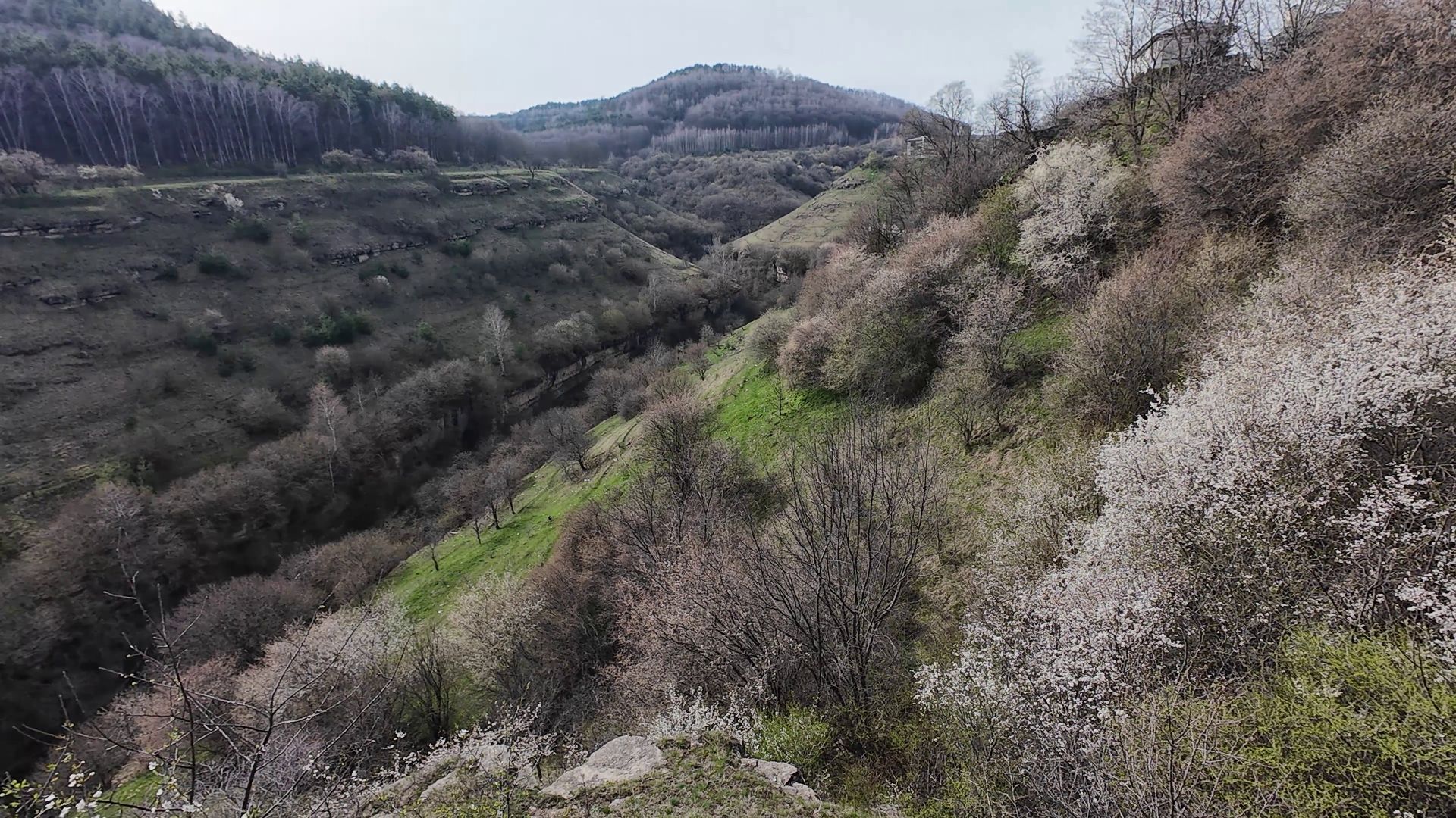 Кисловодск.Прогулка по городу и в районе поселка Индустрия. 2 часть.