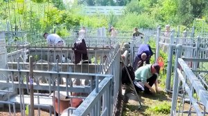 Жители Душанбе вышли на субботник на «Аллее Славы» центрального кладбища