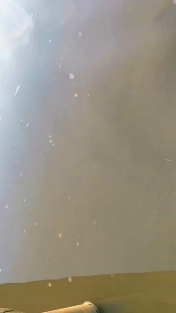 первые карпы р.Десна 2026 #рыбалка #tinao_fishing #rybolovtroick #Троицк #иванмотаж #рыболовтроицк