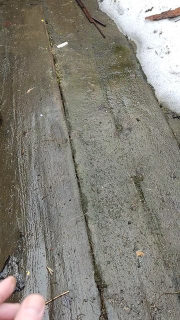 В деревне бабочка залетела в дом