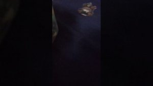 обзор моего хлама🤔😊