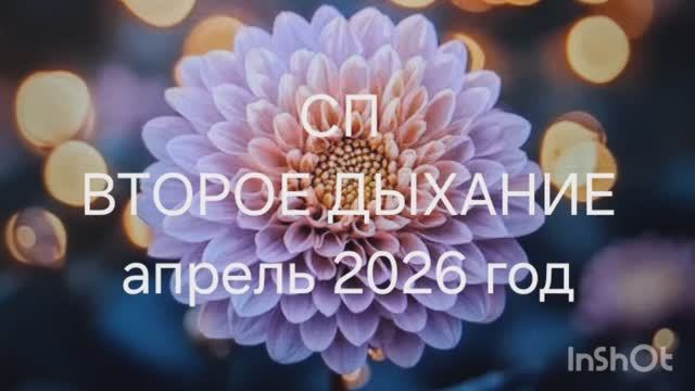 СП Второе дыхание. Отчёт.аарель 2026 год