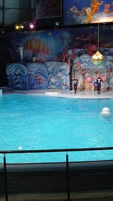 Новосибирский Дельфинарий!!!