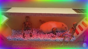 ⚡ Самые быстрые хомяки в истории, Сборник безумных испытаний в лабиринте! серия 2