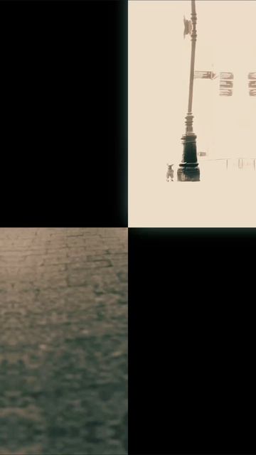 #москва #прогулка #собака #мия #весна #любовь