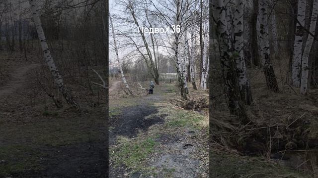 18-04-2026 ЖК Лазурный, Воронеж, катаемся на синем тракторе, отдых, развлечения, велопрогулка.