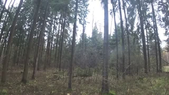 12 ЛУЧШИХ МОМЕНТОВ ОХОТЫ