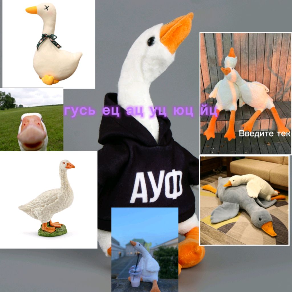 гусик ауфик