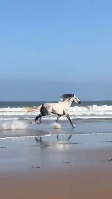 Доза антидепрессанта