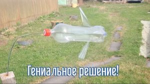 Почему я Раньше до этого не додумался, Как сделать Ветяк отпугиватель птиц  за 3 минуты!