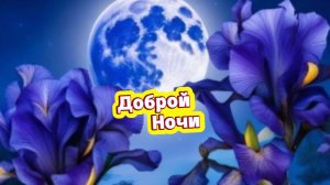 Спокойной ночи: красивое пожелание доброй ночи и сладких снов | Домохозяйка