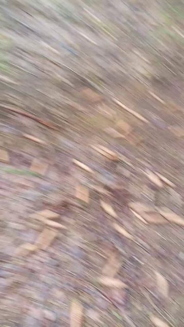 4 часть продавец зонтов