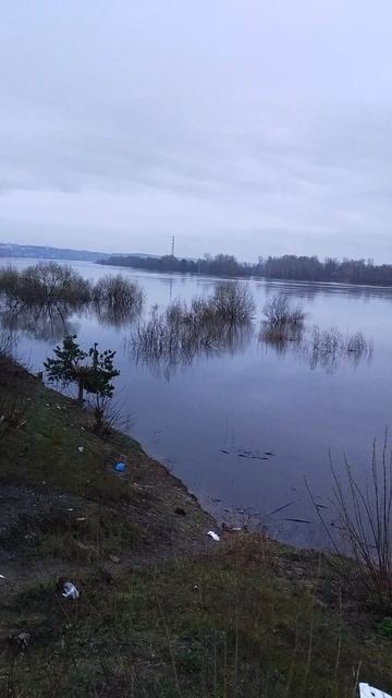 Рано утром 5ч21мин р.Ока.18.04.2026г.Вода пока стоит.