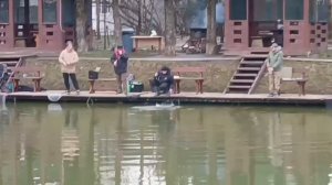 Зарыбление водоёма и поимки форели.