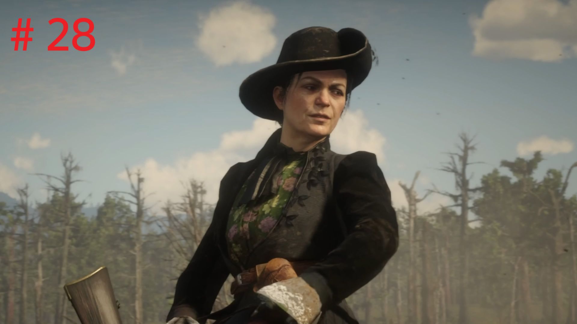 Red Dead Redemption 2 # 28