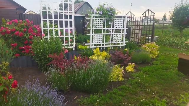 Середина лета 2025 г.