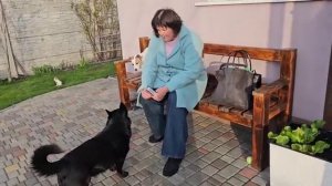 Сытники- Светлане делаем компресс на ноги.