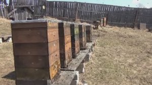 Ревизия , замена доньев с удалением нижних корпусов.