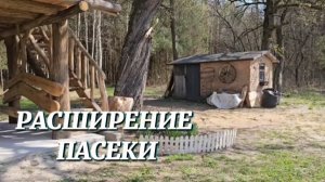 ТАКОЙ КАРТОШКИ МЫ ЕЩЕ НЕ ВИДЕЛИ! ПОДГОТОВКА ЗЕМЛИ И РАСШИРЕНИЕ ПАСЕКИ НА ХУТОРЕ