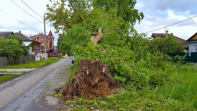 ПРОЛИФ - В Гнилицах ураган