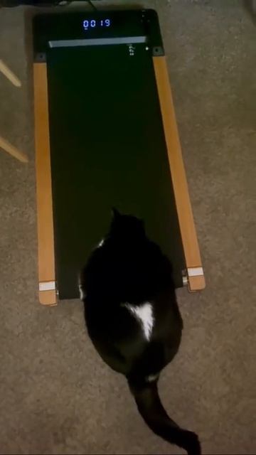 Такого начальника лучше не злить