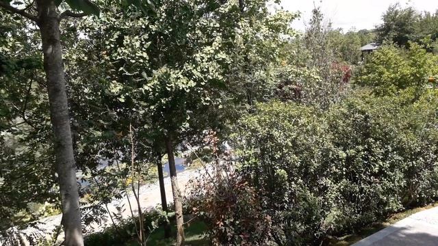 Краснодар, парк Галицкого, Японский сад. Всё красиво, ненавязчивая музыка, вокруг ароматы трав.