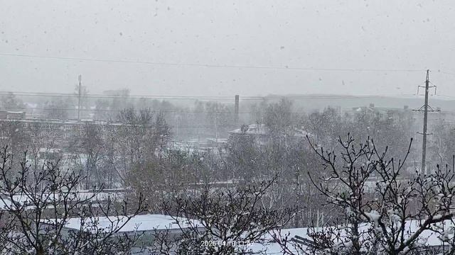 10.04.2026.👍👍👍