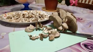 18 апреля вёшенки