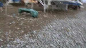 61)О ЛАЗАРЕВСКОЕ МОРЕ