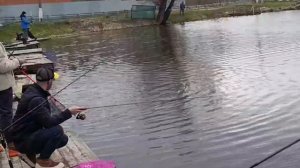 Светлые Горы Форель15 18.04.2026г.