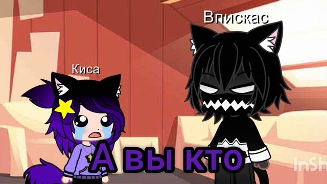 Киса маленькая на 24 часа☺️