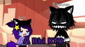 Киса маленькая на 24 часа☺️