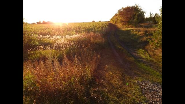 Магия Безмолвной степи. Покой и умиротворение. Тихая Родина